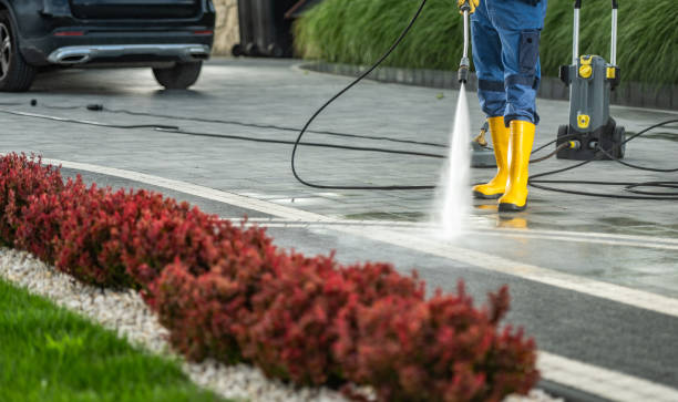 Animal Enclosure Cleaning in Lely Resort, FL